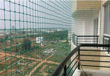 Society Bird Netting Image